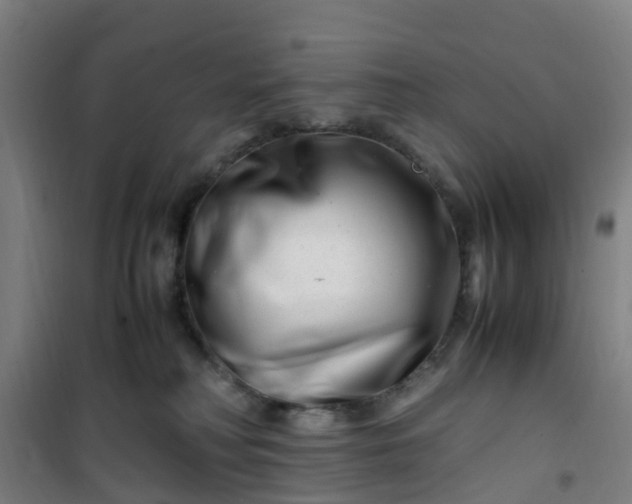 X0000101170230200807111059