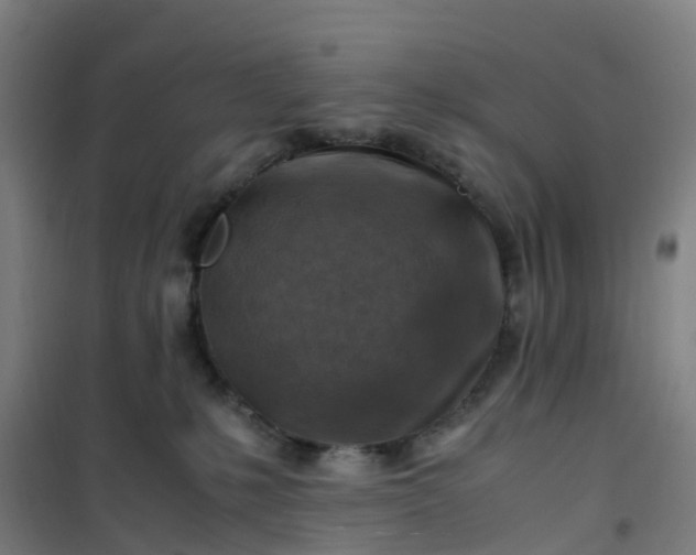 X0000101170231200807111059