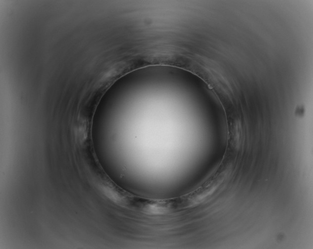 X0000101170232200807111059