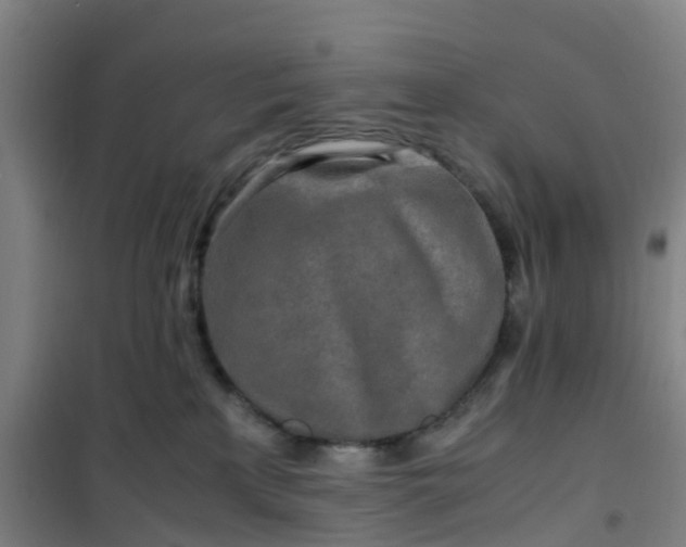 X0000101170233200807111059