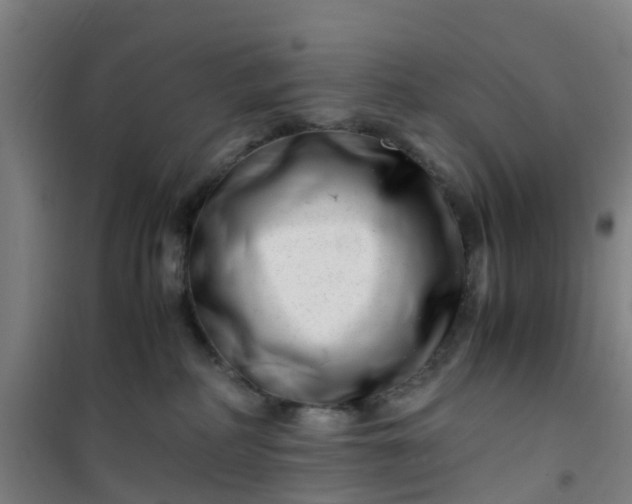 X0000101170234200807111059