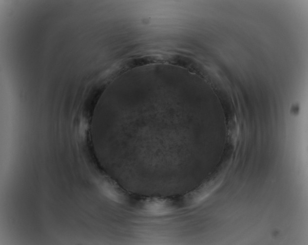 X0000101170235200807111059