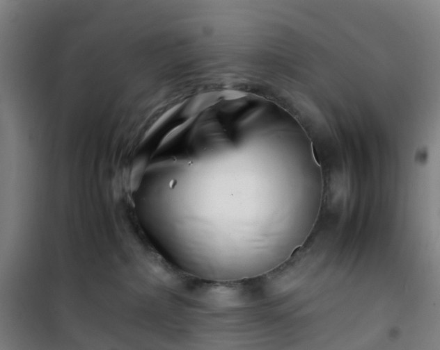 X0000101170236200807111059
