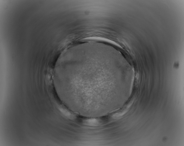 X0000101170237200807111059