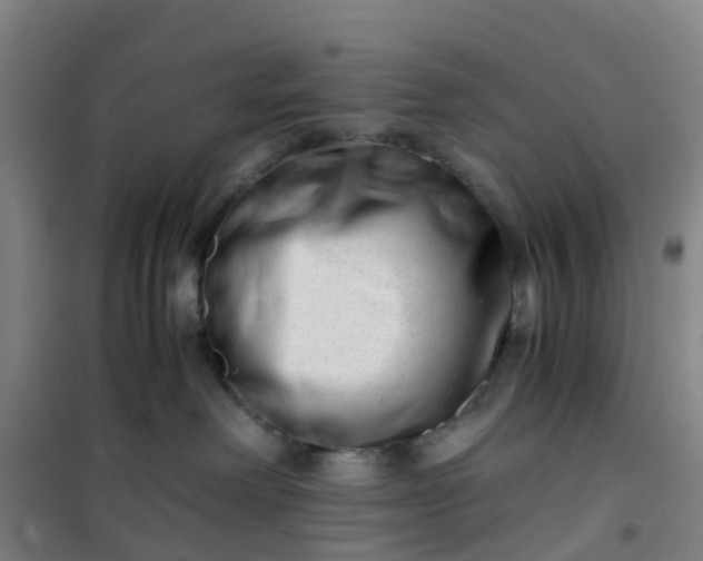 X0000101170238200807111059
