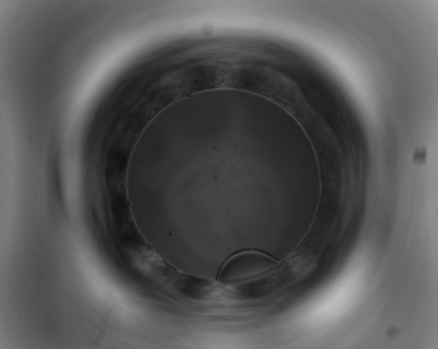 X0000101170239200807111059