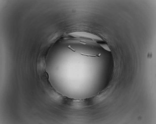 X0000101170240200807111059