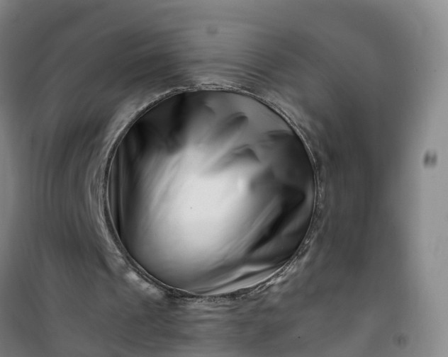 X0000101170241200807111058
