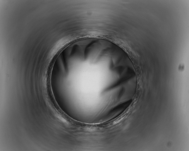 X0000101170242200807111058