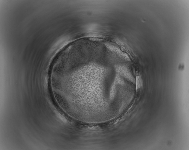 X0000101170243200807111058