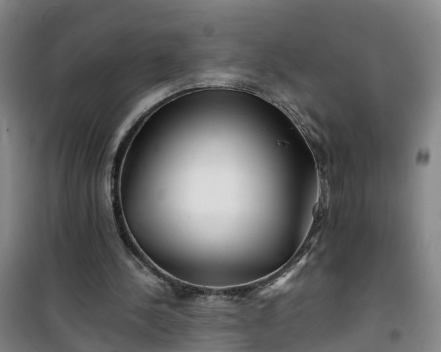 X0000101170244200807111058