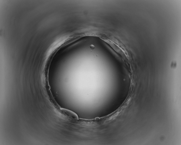 X0000101170245200807111058