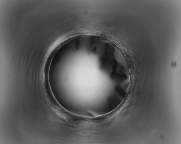 X0000101170246200807111058