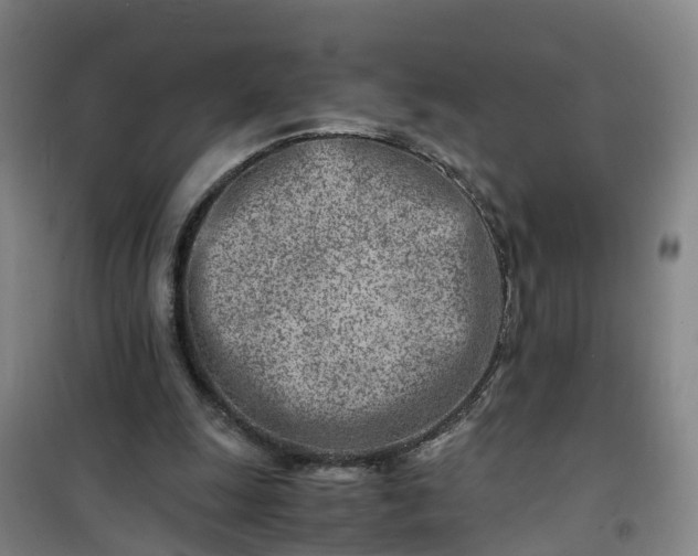 X0000101170247200807111058