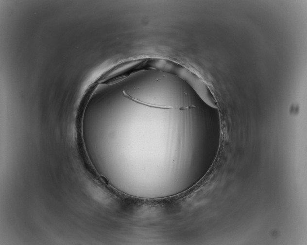 X0000101170248200807111058