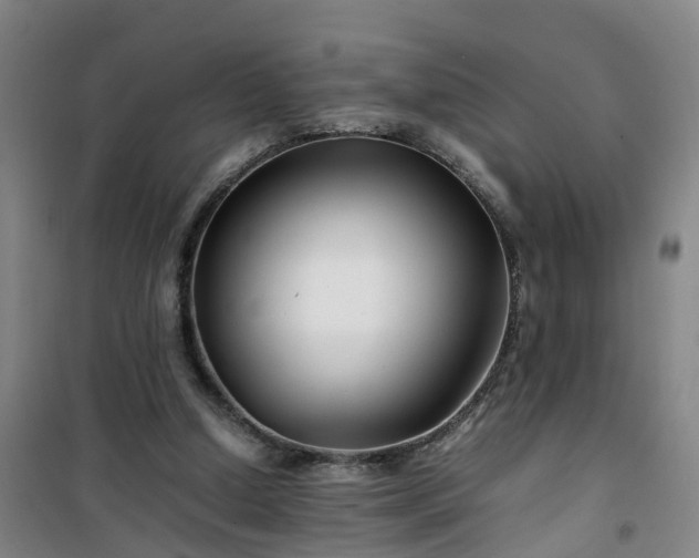 X0000101170250200807111058