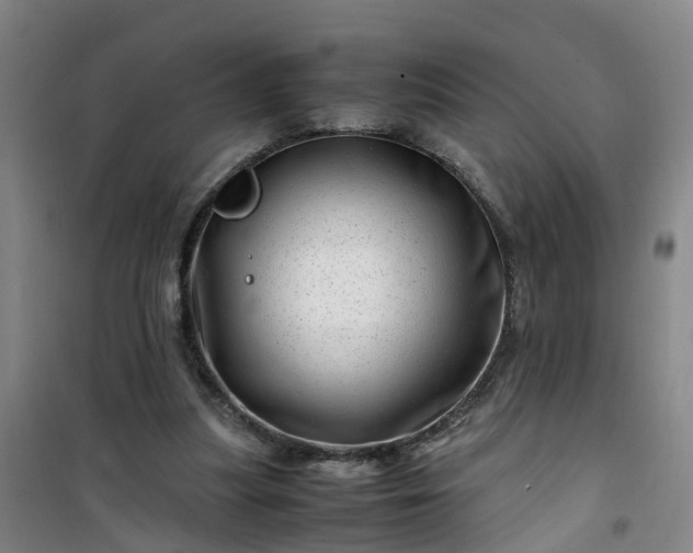 X0000101170251200807111058