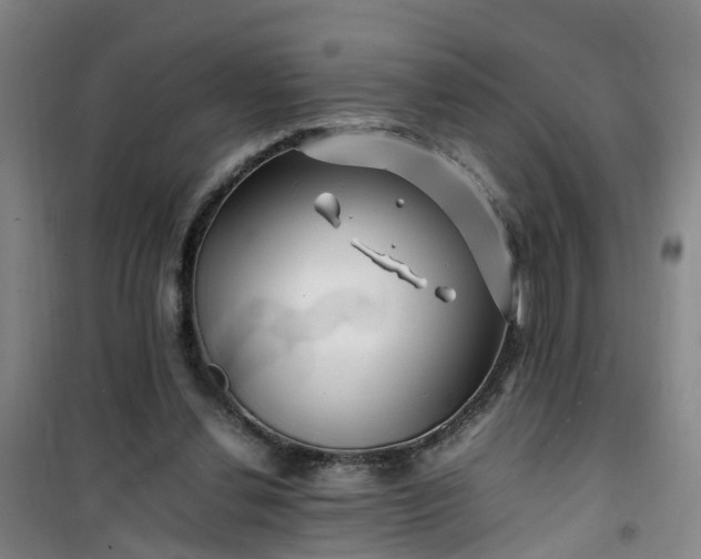 X0000101170252200807111058