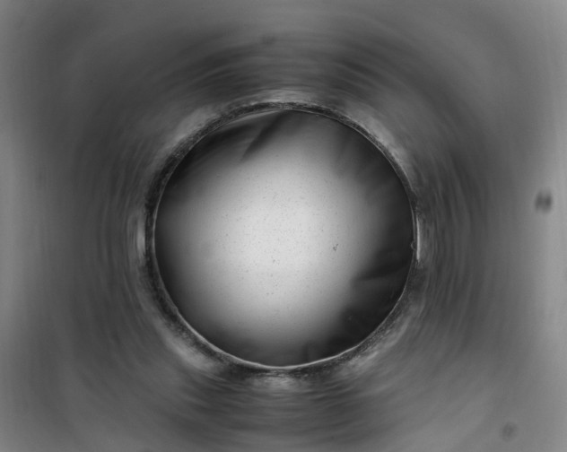X0000101170253200807111058