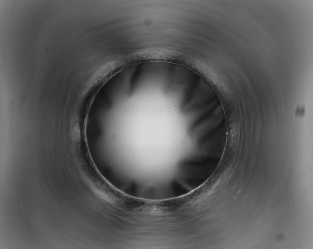 X0000101170254200807111058