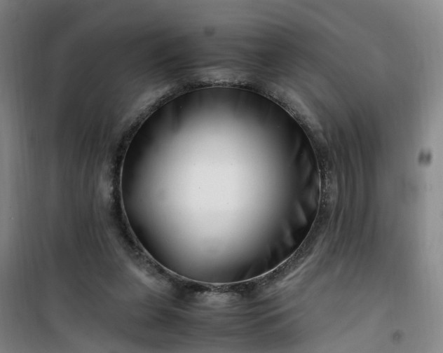 X0000101170255200807111058