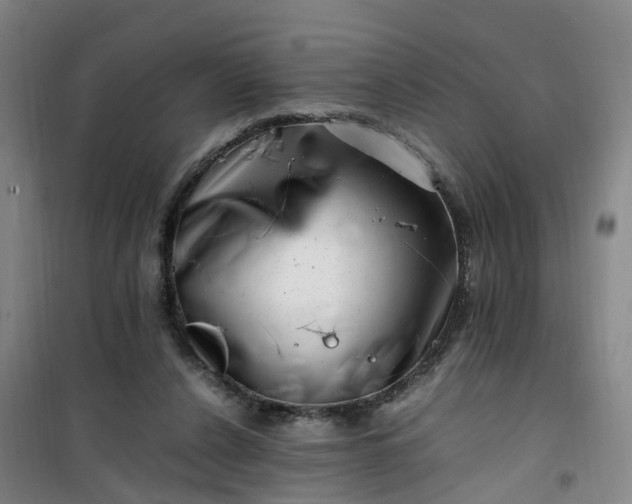 X0000101170256200807111058