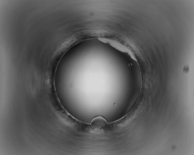 X0000101170258200807111058