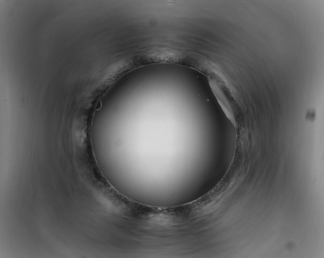X0000101170259200807111058