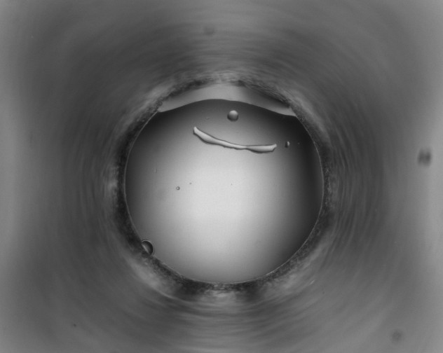 X0000101170260200807111058