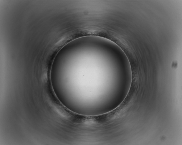 X0000101170262200807111059
