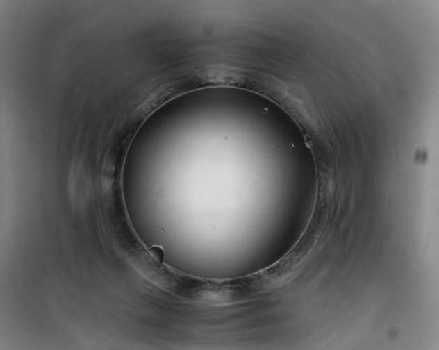 X0000101170263200807111059