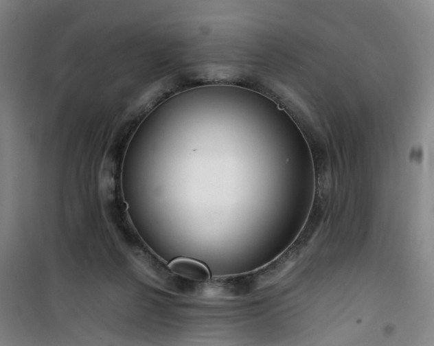 X0000101170264200807111059