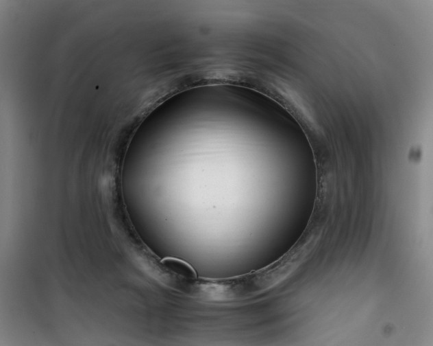 X0000101170265200807111059