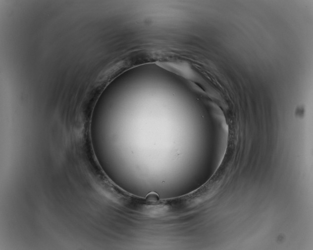 X0000101170266200807111059