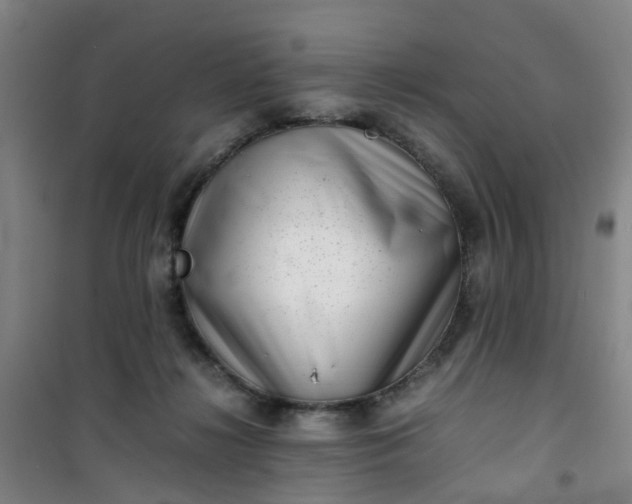 X0000101170268200807111059
