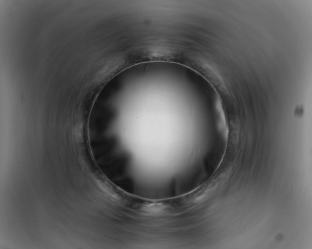 X0000101170269200807111059