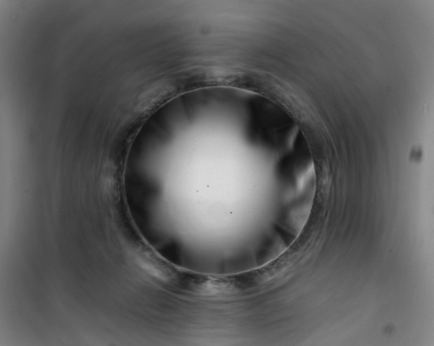 X0000101170270200807111059