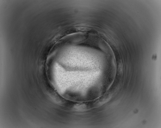 X0000101170271200807111059