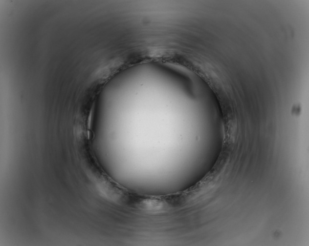 X0000101170272200807111059