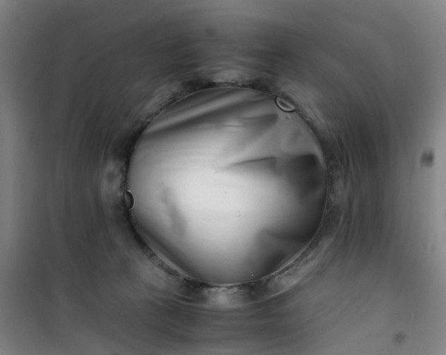 X0000101170273200807111059
