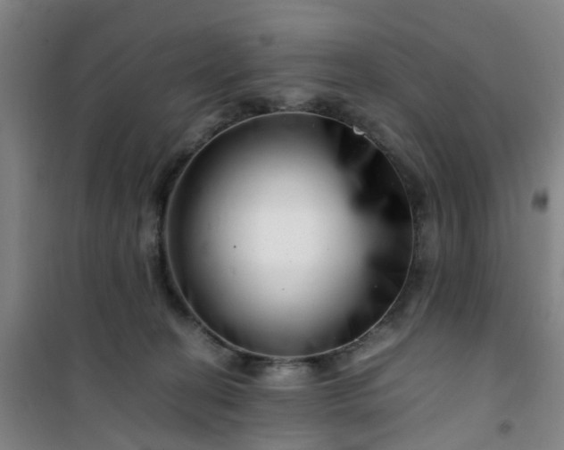 X0000101170274200807111059