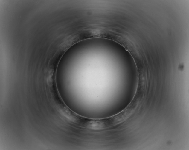 X0000101170275200807111059