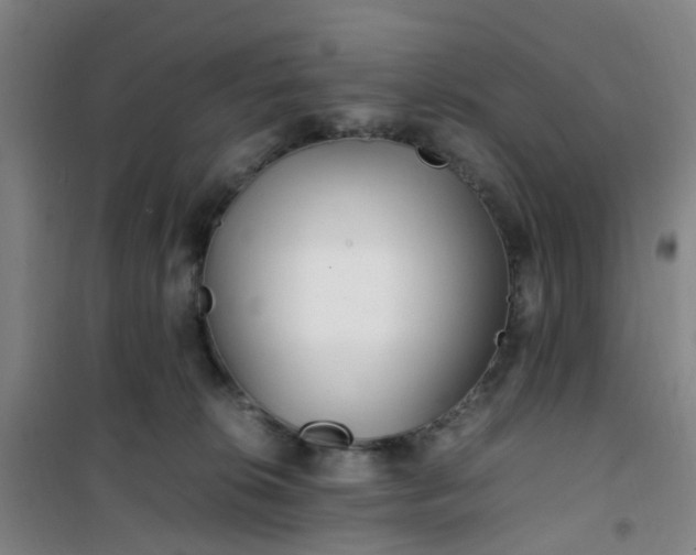 X0000101170276200807111059