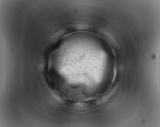 X0000101170277200807111059
