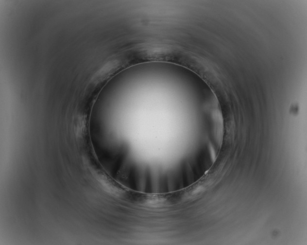 X0000101170278200807111059