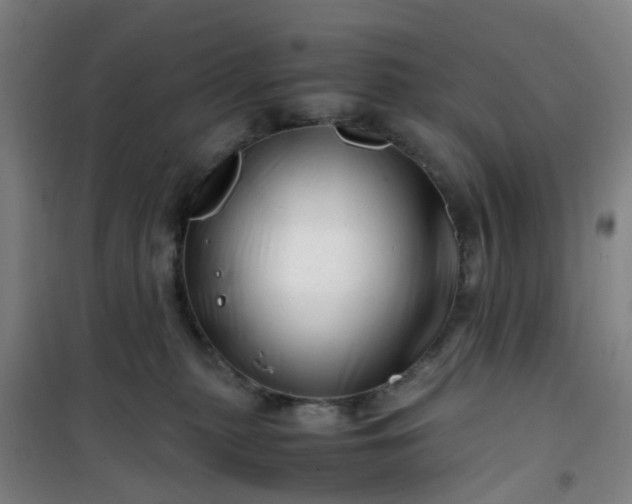 X0000101170279200807111059