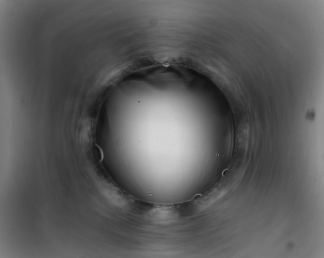 X0000101170280200807111059