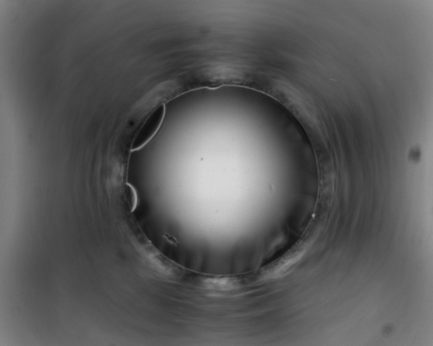 X0000101170281200807111059
