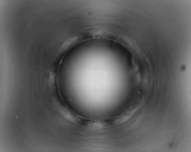 X0000101170282200807111059