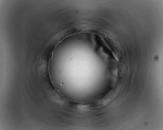 X0000101170283200807111059